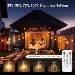 Ehaho Dimmable Festoon Lights | 100FT/30M 50+4 LED G40 String Lights with Bulbs